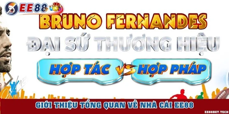 Vài nét chung về nhà cái EE88